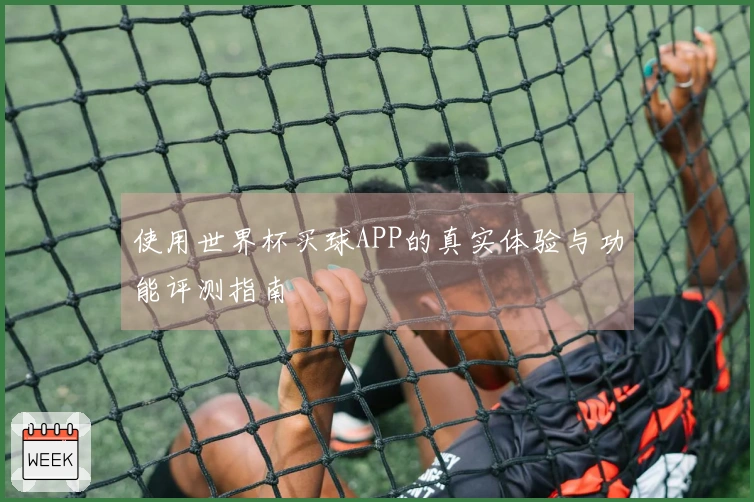 使用世界杯买球APP的真实体验与功能评测指南