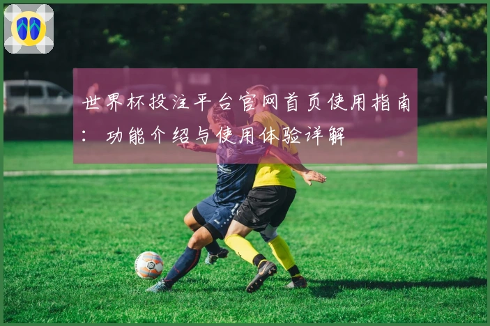 世界杯投注平台官网首页使用指南：功能介绍与使用体验详解