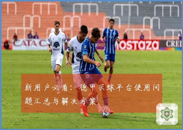 新用户必看：德甲买球平台使用问题汇总与解决方案