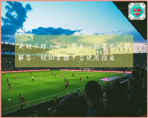 英超买球入口：您关心的常见问题解答，轻松掌握平台使用指南