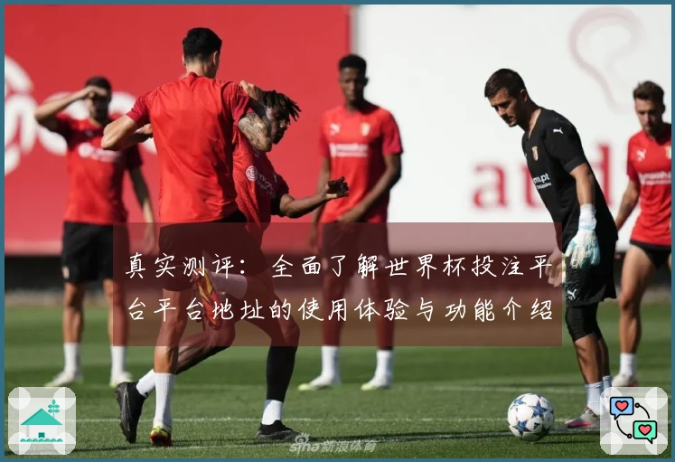真实测评:全面了解世界杯投注平台平台地址的使用体验与功能介绍
