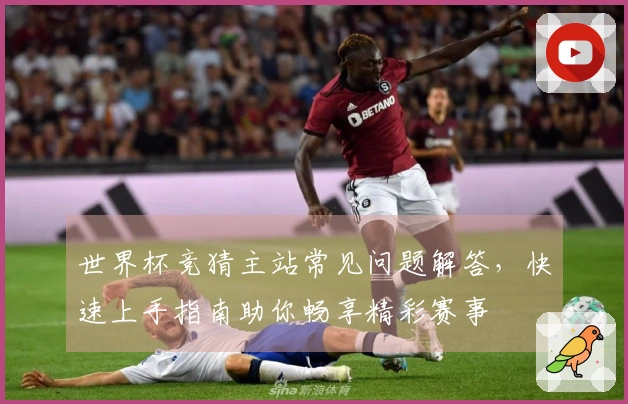 世界杯竞猜主站常见问题解答，快速上手指南助你畅享精彩赛事