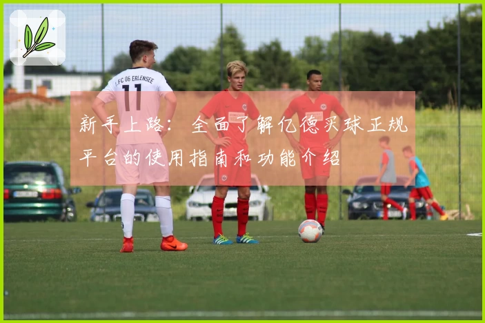 新手上路：全面了解亿德买球正规平台的使用指南和功能介绍