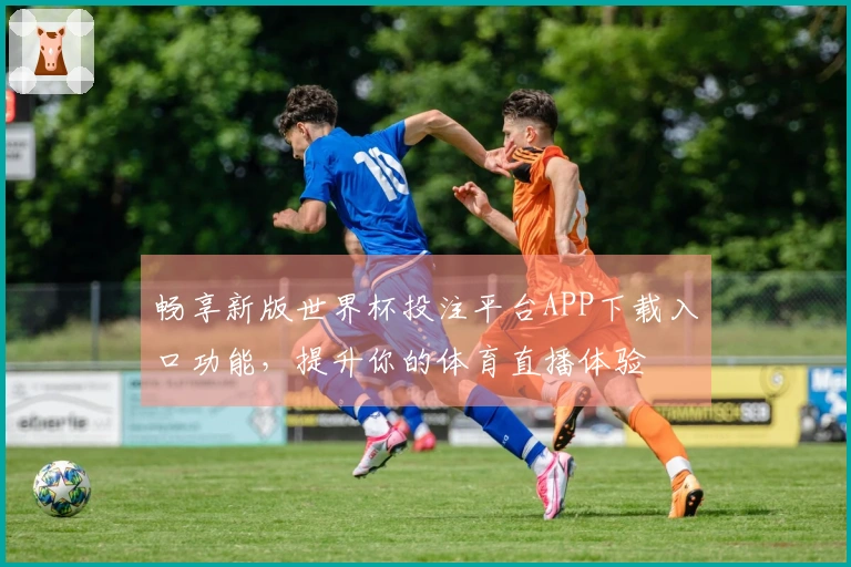 畅享新版世界杯投注平台APP下载入口功能,提升你的体育直播体验