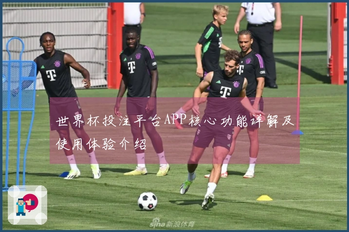 世界杯投注平台APP核心功能详解及使用体验介绍
