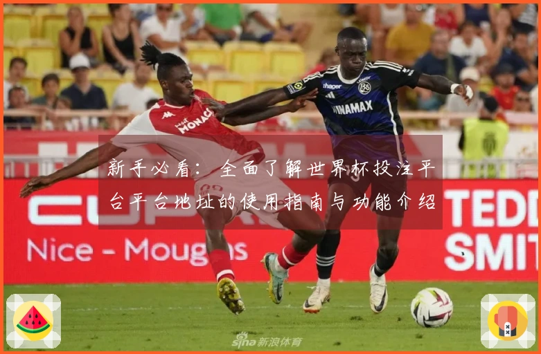 新手必看：全面了解世界杯投注平台平台地址的使用指南与功能介绍