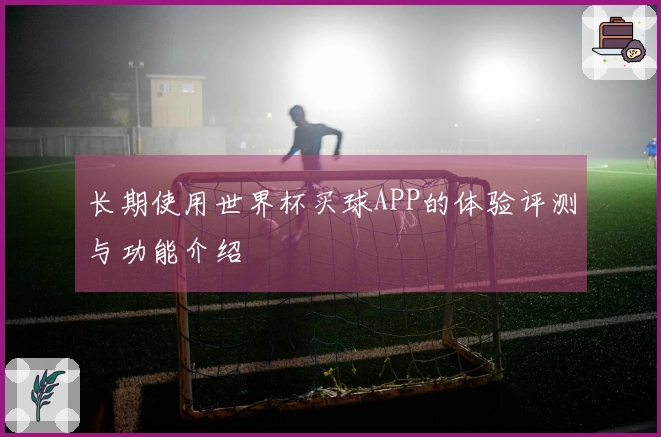 长期使用世界杯买球APP的体验评测与功能介绍