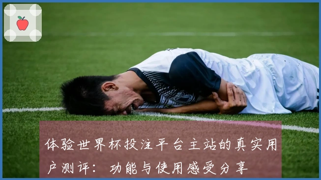 体验世界杯投注平台主站的真实用户测评：功能与使用感受分享