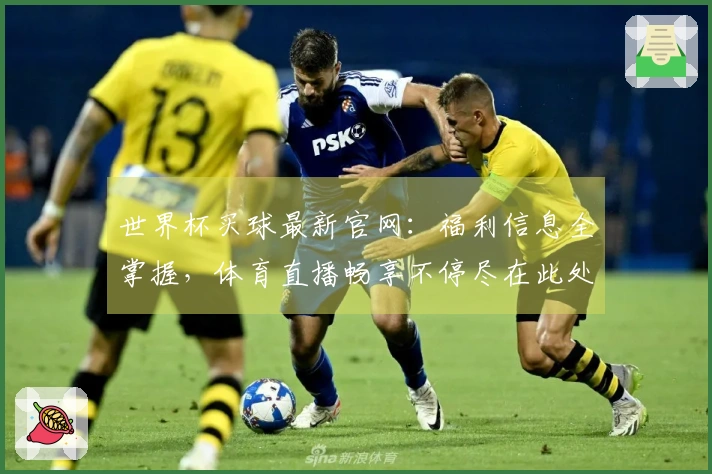 世界杯买球最新官网：福利信息全掌握，体育直播畅享不停尽在此处