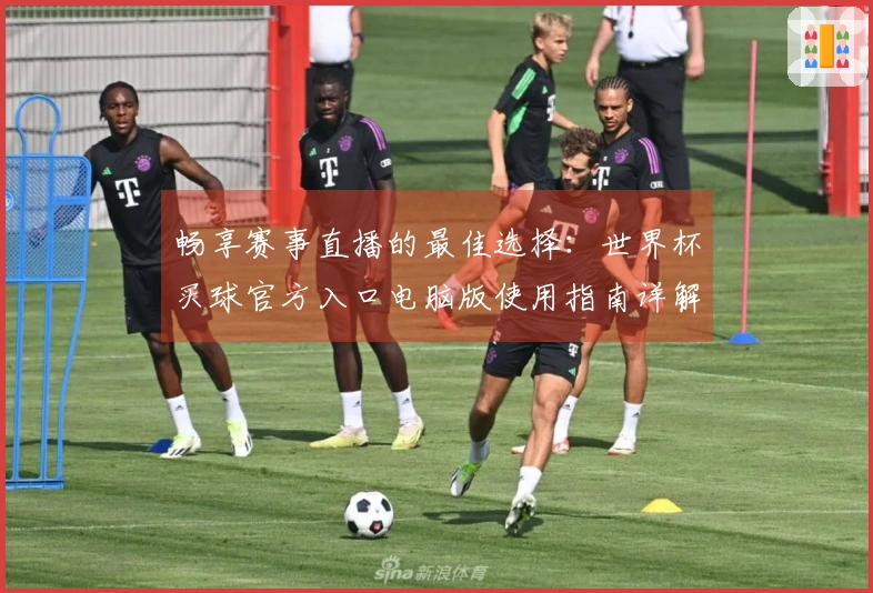 畅享赛事直播的最佳选择：世界杯买球官方入口电脑版使用指南详解
