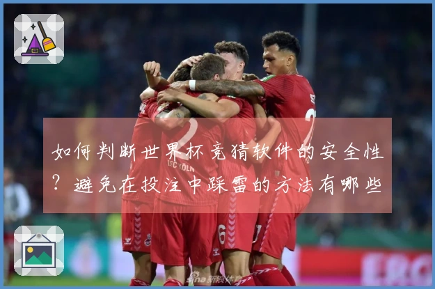 如何判断世界杯竞猜软件的安全性？避免在投注中踩雷的方法有哪些